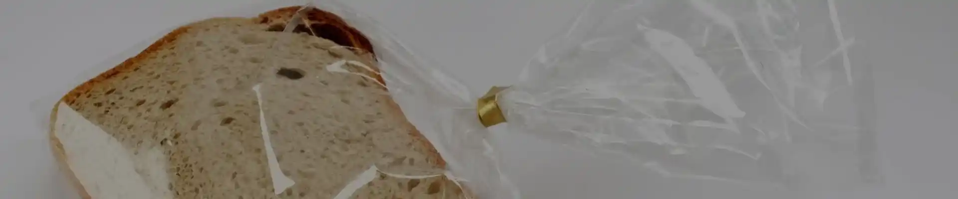 Delivery Bag